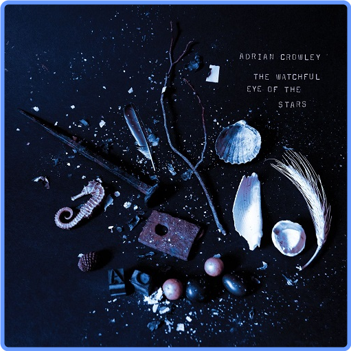 Adrian Crowley - The Watchful Eye of the Stars (Album, 2021) FLAC LossLess