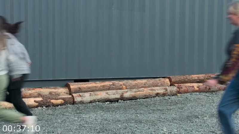 [Image: s9l9yc90xina.jpg]