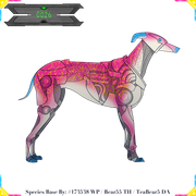 0026 - Dyani - #290069