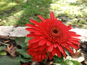 IMG20250108005623