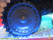 IMG-7481