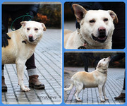 Be-Funky-collage-17.jpg&key=5d76f5570e23