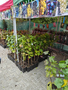 IMG20261017124319