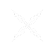 XNOVA