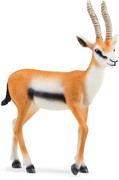 18 - Thomson's gazelle