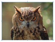 [Image: Capture-d-e-cran-2022-02-17-a-16-18-06.png]