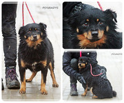 Be-Funky-collage-27.jpg&key=4e8172f67dd1