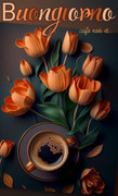 https://i.postimg.cc/PpNXRLjF/331456148-166066122953648-1819496789560348955-n.jpg