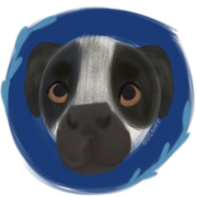 Untitled109_20210124171147