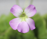 6F76AEF0-38BD-432A-92F1-593C25463BA6