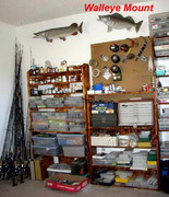 [Image: MOUNTED-WALLEYE.jpg]