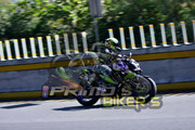 DSC0490