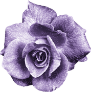 0_1499a8_3c855cfb_orig