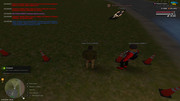 IMG-0602