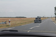 IMG-4429.jpg