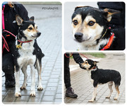 Be-Funky-collage-28.jpg&key=f38ac779fd99