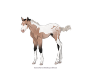 2E57848F-4A0E-4105-A6BF-2F1B24E3FC58