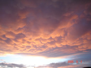 DSC00909