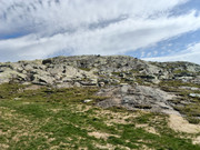 20260715-110735.jpg