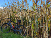 PXL_20211024_140632571