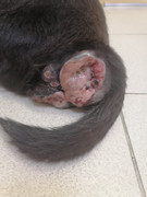 2E0B2E23-F5E2-44CB-913B-F24A1428EABA