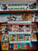 IMG-20250304-171832