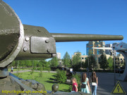 IMG-5503