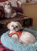 B667A1D4-4D6B-4C43-AB35-F412A4CA0E6B-1-201-a