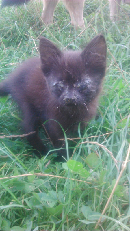 35DCCC77-BD8E-47BE-89FC-312773D92EB6