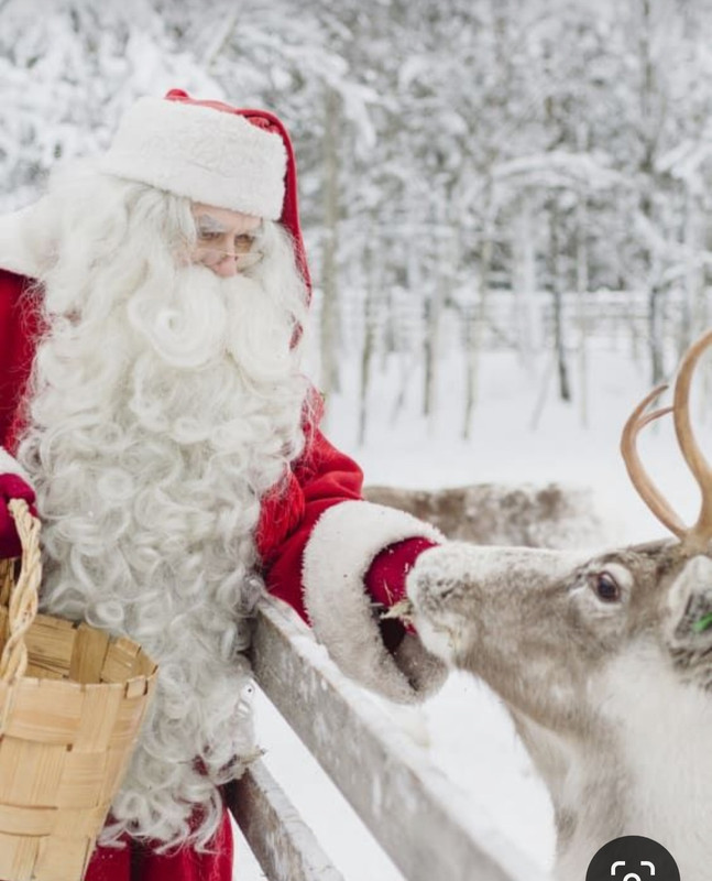 Screenshot_20231219_173018_Pinterest