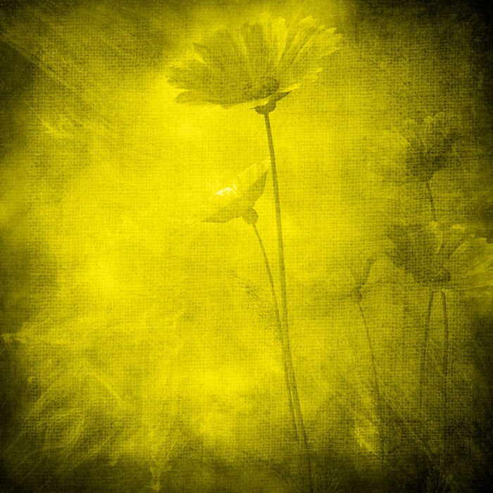 pp Kit_Just_Bee_In_ME (3)