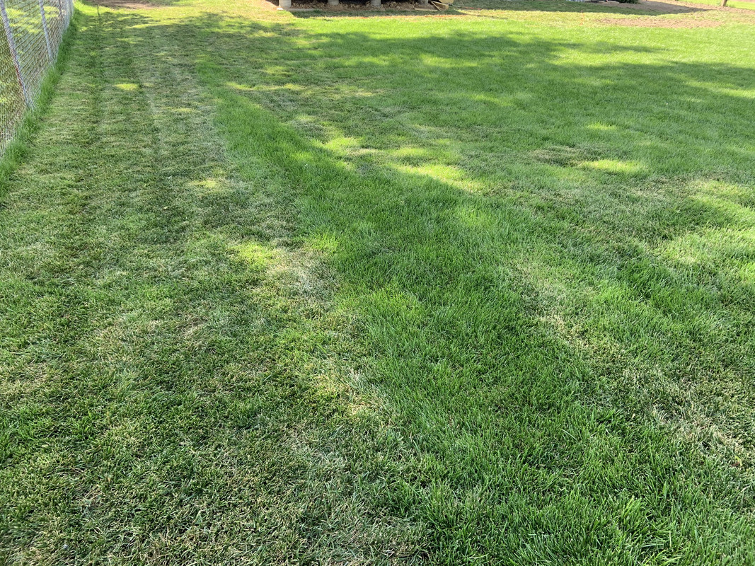 7F9DC0BB-F13A-4D68-ABED-FA8EC46098AB