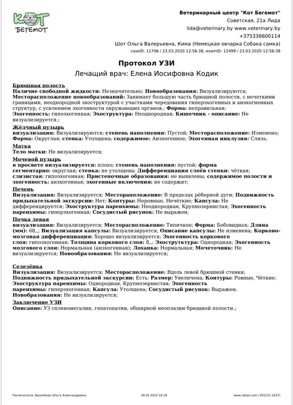 16020903-C9DF-425D-AD3F-F5382B280374