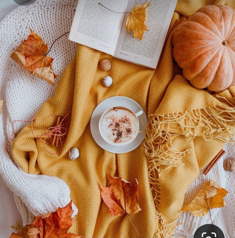 Screenshot_20231031_215920_Pinterest