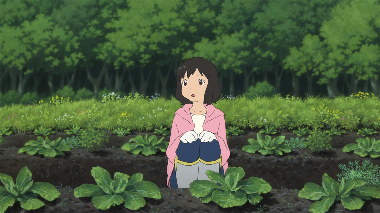 Wolf Children (2012) [1080p x265 HEVC 10bit BluRay Dual Audio AAC 5.1] [Prof].mkv_snapshot_00.47.37_