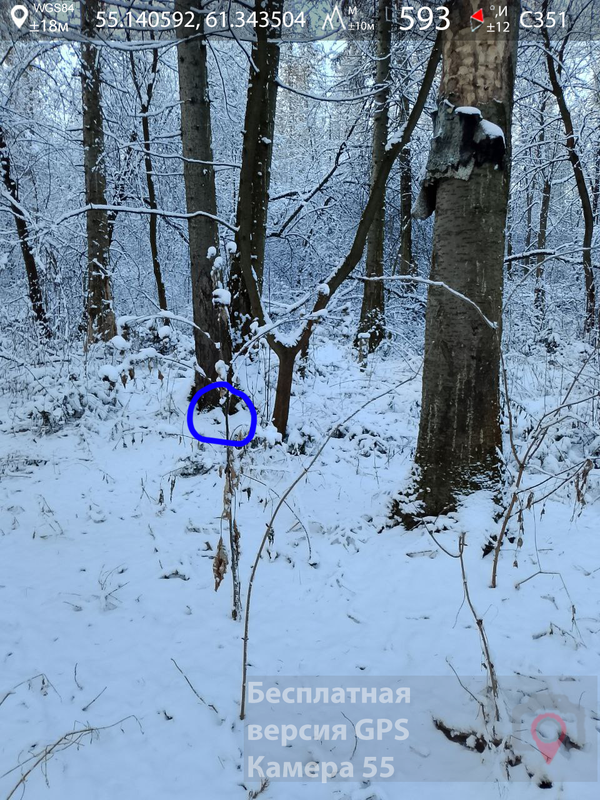 6 6