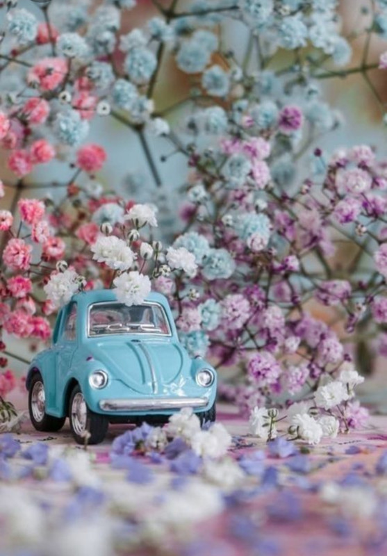 Screenshot_20230409_223701_Pinterest