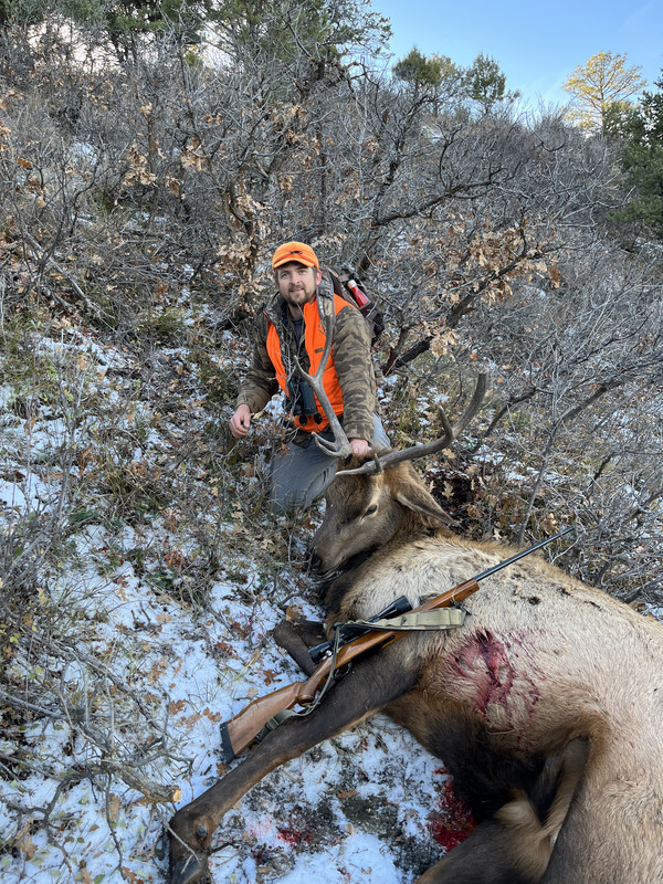 D3EBD347-0A81-4A78-AE0A-72743CC46EEB