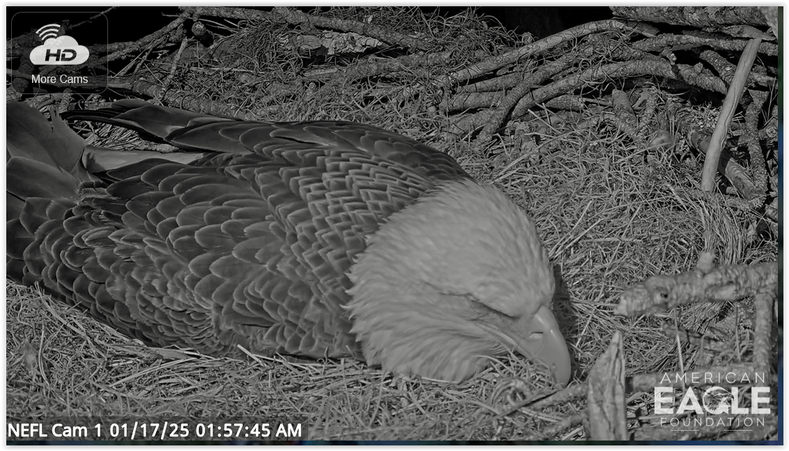 Screen Shot 01-17-25 at 07.57 AM