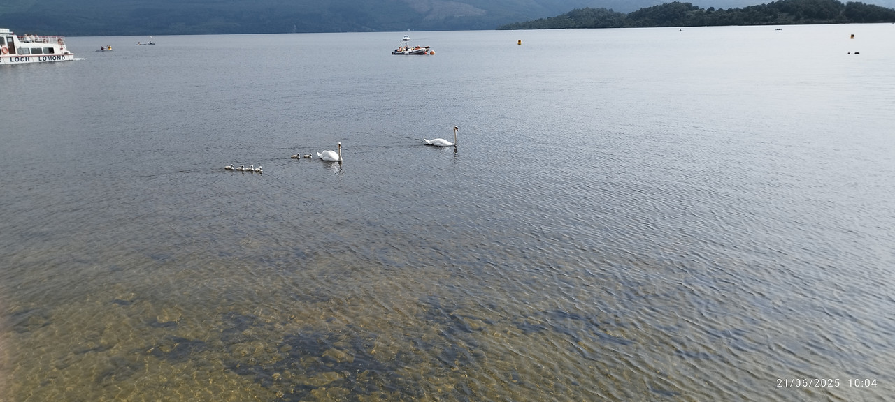 Segundo viaje a Escocia - Blogs de Reino Unido - Día 5 Luss - Loch Lomond (2)