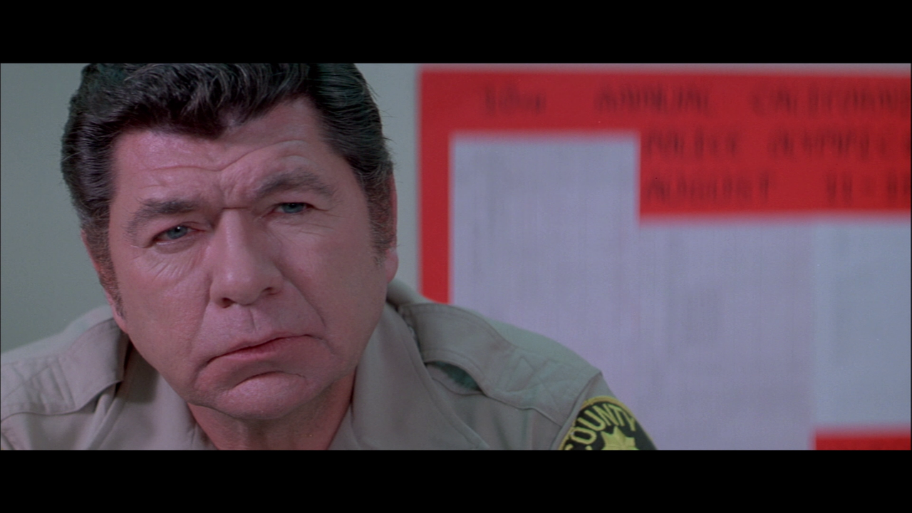 vlcsnap-2023-02-19-17h53m17s081