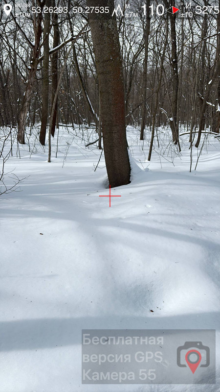 photo 11 2026 03 10 17 48 31