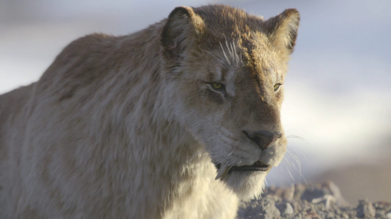 vlcsnap 2025 11 26 03h02m10s292