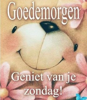 An den Beitrag angehängtes Bild: https://i.postimg.cc/Pq1D7Kjr/f272ec6383a8fce3644f6958c404b5d8.jpg