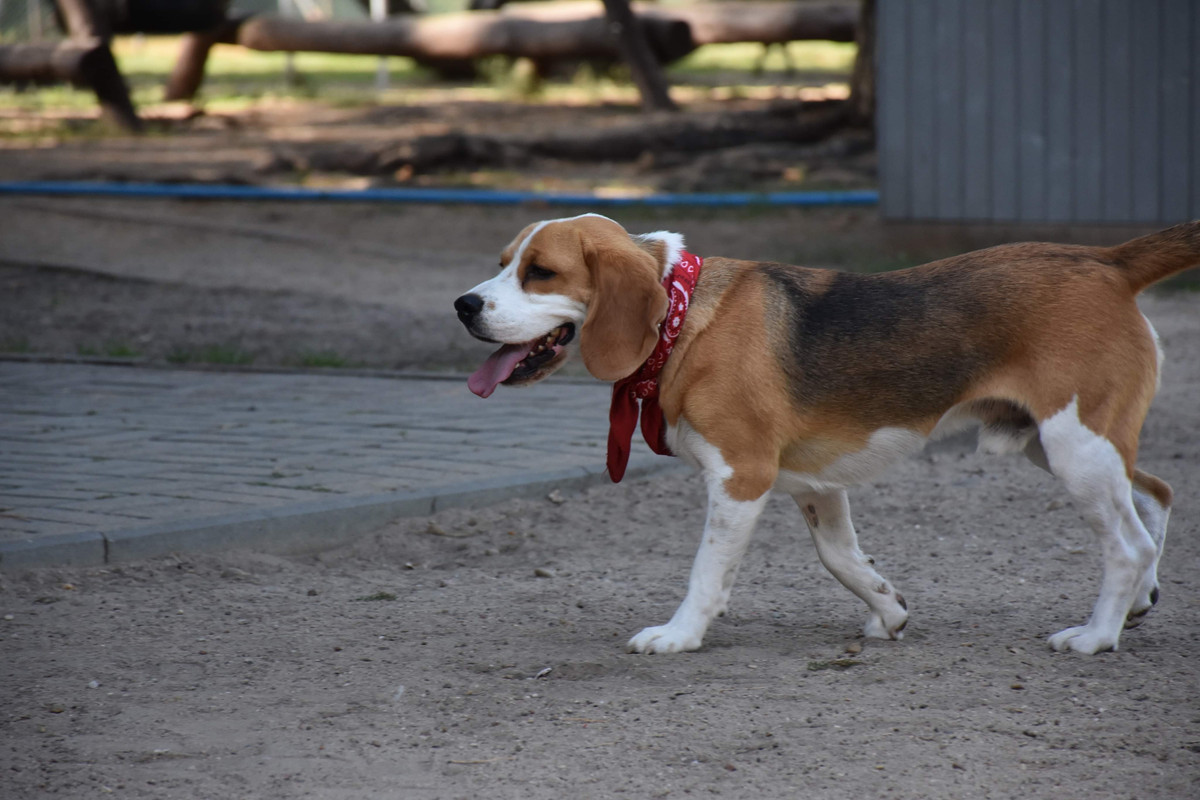 B03EE42F-9569-48C9-A5C0-870635F3ADBA