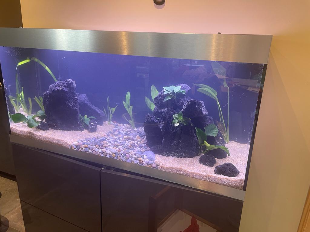 dfa5ec10-4ccd-462e-9912-43ef8285af33