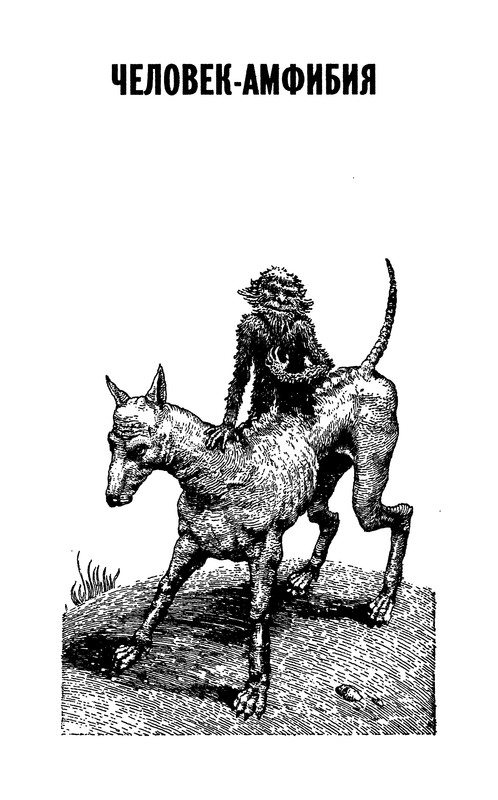 p0008
