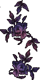 purple 20