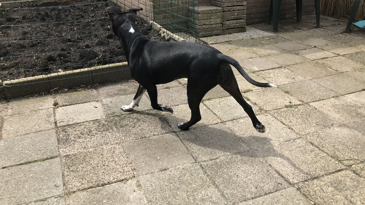 CCB725EF-ADFC-4D4A-A5D7-7913FD99AD67