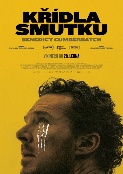 Křídla smutku / The Thing with Feathers (2025)